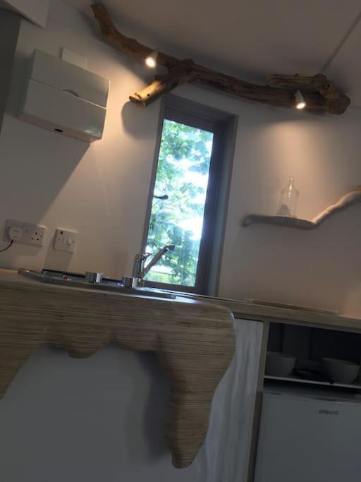 The Roundhouse - Unique Space Nestled In The Trees Begelly エクステリア 写真